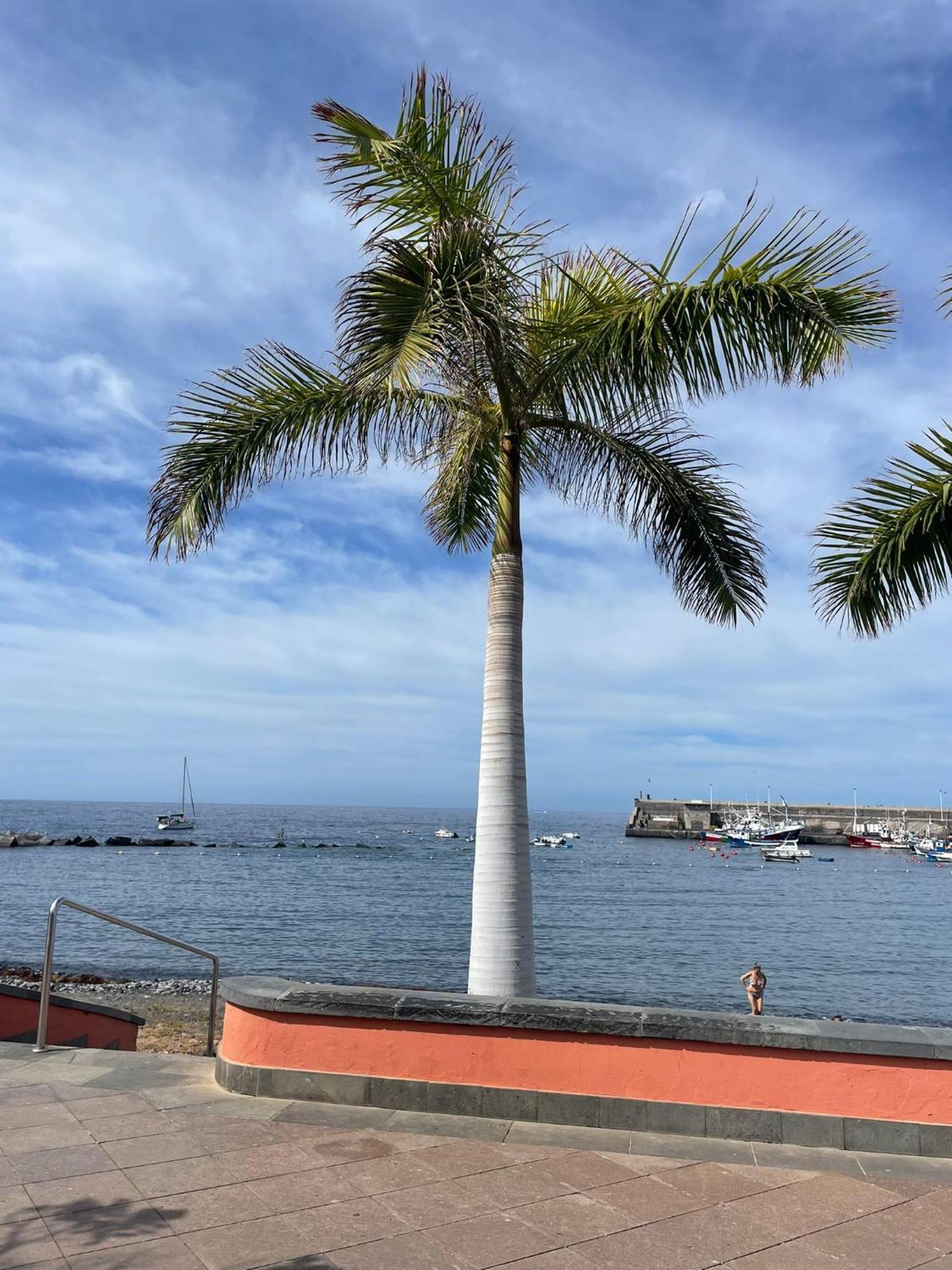 Seaside Paradise - 2 Bedroom With Ocean Views & Air Conditioning In Playa de San Juan (Tenerife)